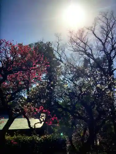 布多天神社(東京都)
