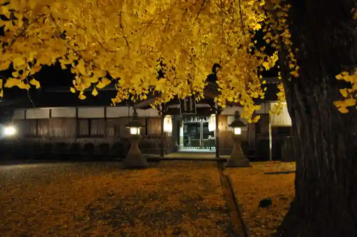 丹生酒殿神社のその他建物