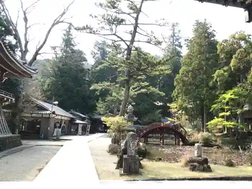 金剛證寺の庭園