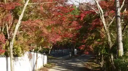 毘沙門堂門跡のその他建物