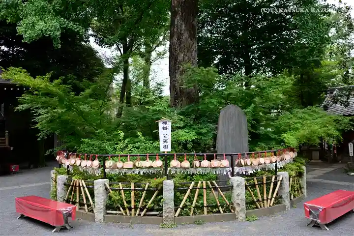 七社神社の庭園