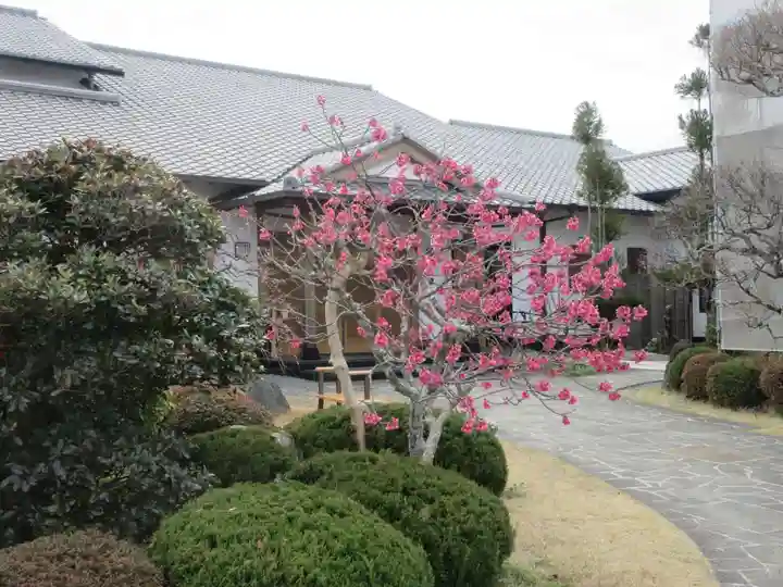 成福寺(静岡県)