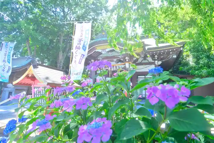 川越八幡宮(埼玉県)