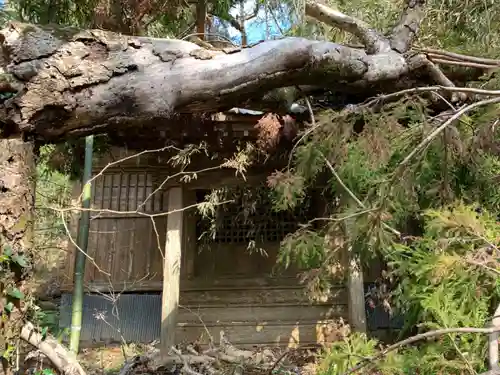 市井神社の本殿・本堂