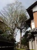 鏡作伊多神社のその他建物