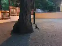 開拓神社の動物