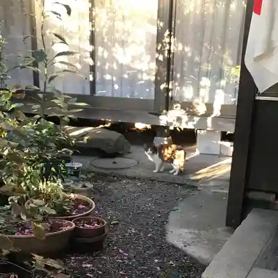 日吉神社(神奈川県)