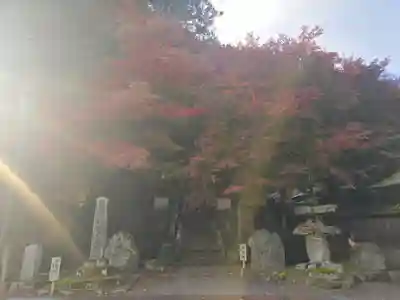 西教寺(滋賀県)