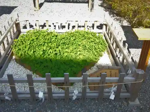 長良神社の庭園