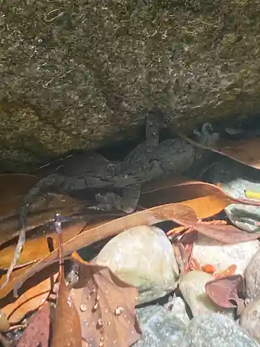 菅原神社(大阪府)