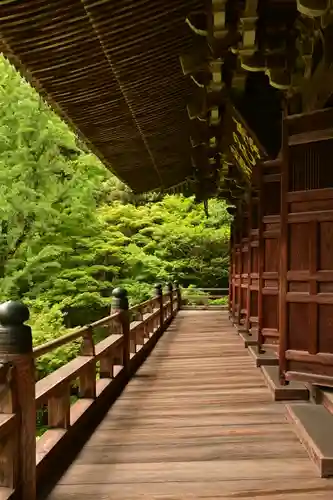 圓教寺(兵庫県)
