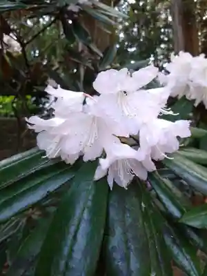 城原八幡社(大分県)