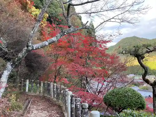 金剛城寺の自然
