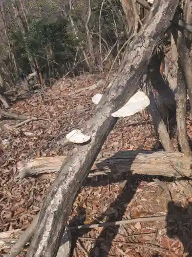 御嶽山神社（奥宮）(栃木県)