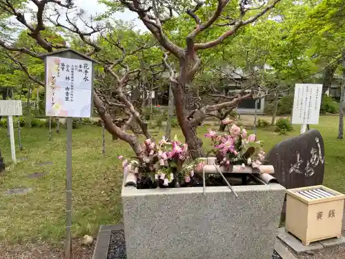 桜宮の{uncategorized: "未分類", other: "その他", undefined: "問題あり", building: "その他建物", grave: "お墓", sacred_gate: "鳥居", guardian: "狛犬", statue: "像", buddha: "仏像", history: "歴史", nature: "自然", garden: "庭園", animal: "動物", pagoda: "塔", temizu: "手水舎", mountain_gate: "山門・神門", sanctuary: "本殿・本堂", subordinate: "末社・摂社", art: "芸術", scenery: "景色", jizo: "地蔵", ema: "絵馬", goshuin: "御朱印", omikuji: "おみくじ", items: "授与品その他", amulet: "お守り", goshuincho: "御朱印帳", eats: "食事", festival: "お祭り", votive_dance: "神楽", shichigosan: "七五三参", wedding: "結婚式", experience: "体験その他", initially: "初詣", around: "周辺", anti_infection: "感染症対策"}