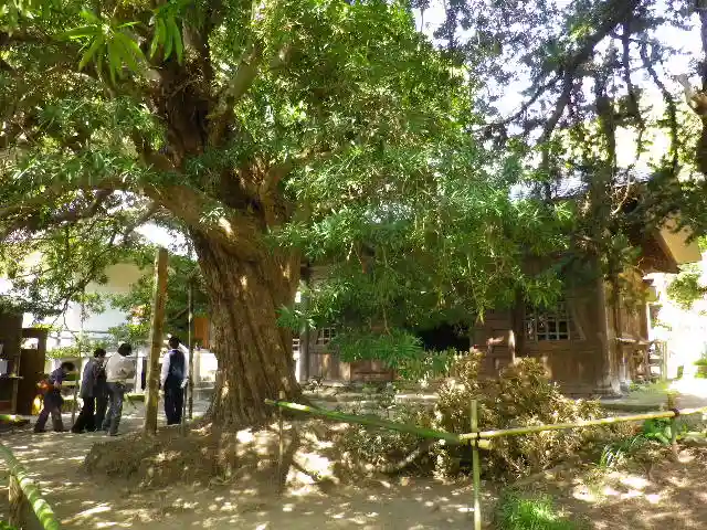 浄光明寺の自然