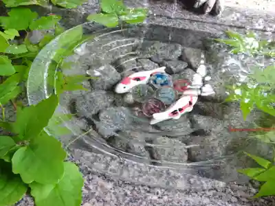 滑川神社 - 仕事と子どもの守り神(福島県)
