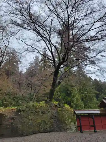 妙義神社(群馬県)