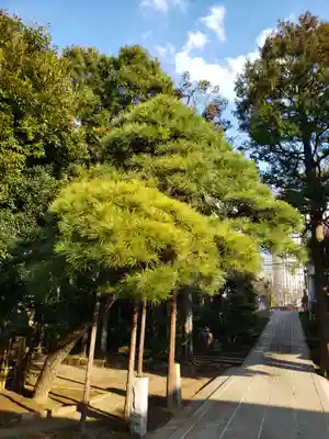 実相寺のその他建物