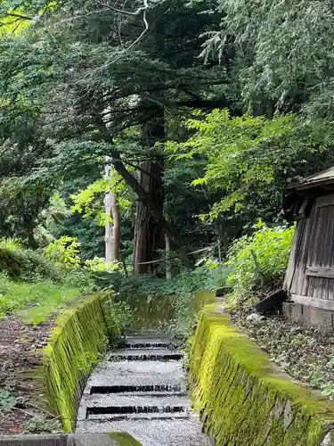 諏訪大社(長野県)