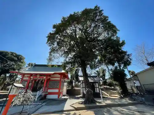 貴布祢神社の建物その他