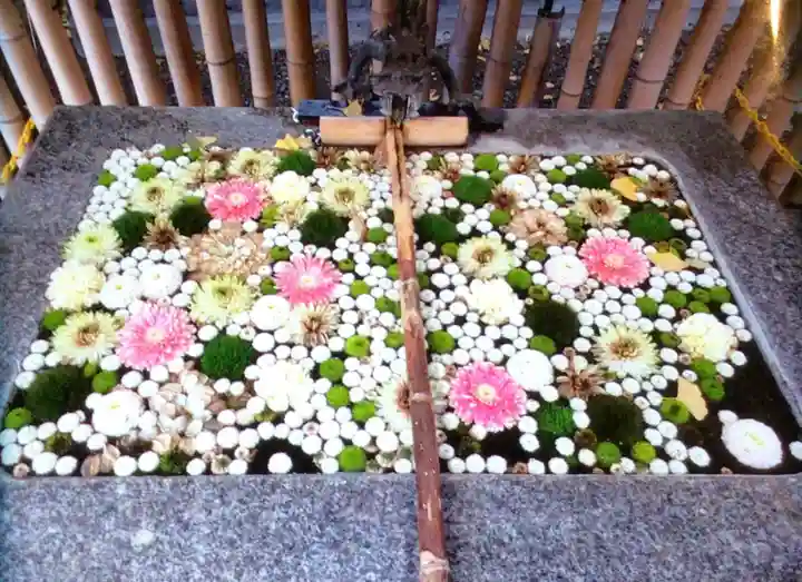高円寺氷川神社(東京都)
