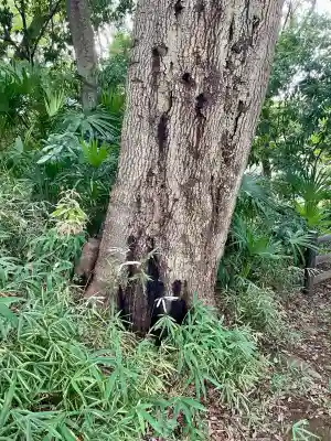 秀郷稲荷大明神(東京都)