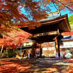 普門寺(切り絵御朱印発祥の寺)の山門