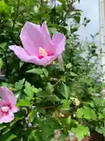 開運稲荷神社(山形県)