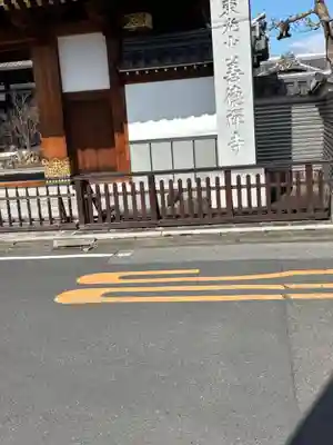 善徳寺(栃木県)