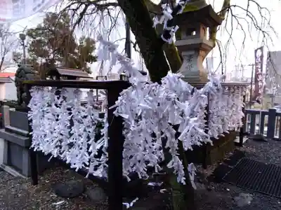 毛谷黒龍神社(福井県)