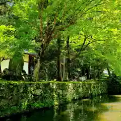 八幡神社松平東照宮の自然