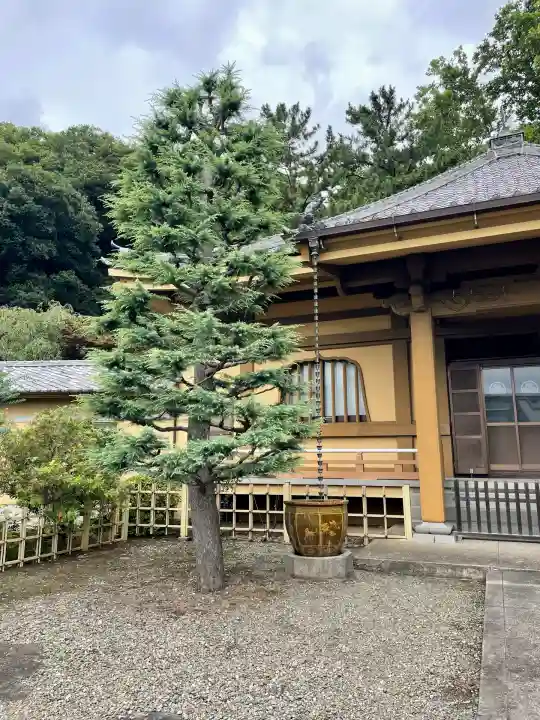 東福寺(神奈川県)