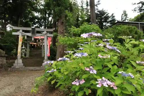 隠津島神社の鳥居