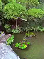 報国寺(神奈川県)