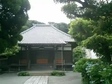 實相寺(実相寺)の本殿・本堂