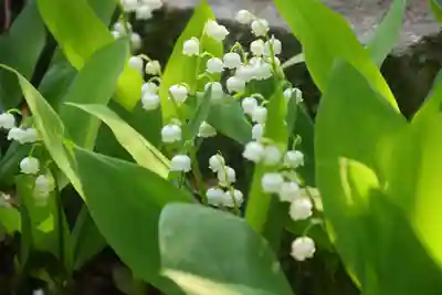 開成山大神宮の庭園