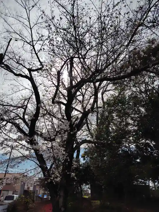 観音堂 (埼玉県)