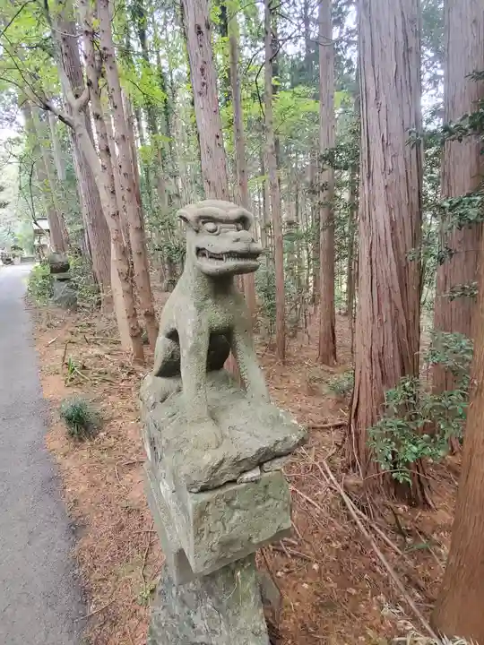 釜山神社の狛犬