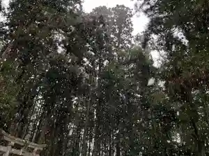 大宮温泉神社(栃木県)(2023年01月24日(火) 16時14分56秒投稿)