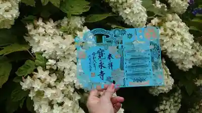 徳川切り絵御朱印✨