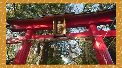 塚越稲荷神社(埼玉県)