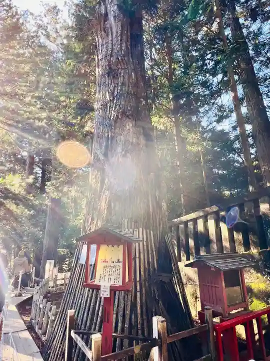 日光東照宮奥宮拝殿の{uncategorized: "未分類", other: "その他", undefined: "問題あり", building: "その他建物", grave: "お墓", sacred_gate: "鳥居", guardian: "狛犬", statue: "像", buddha: "仏像", history: "歴史", nature: "自然", garden: "庭園", animal: "動物", pagoda: "塔", temizu: "手水舎", mountain_gate: "山門・神門", sanctuary: "本殿・本堂", subordinate: "末社・摂社", art: "芸術", scenery: "景色", jizo: "地蔵", ema: "絵馬", goshuin: "御朱印", omikuji: "おみくじ", items: "授与品その他", amulet: "お守り", goshuincho: "御朱印帳", eats: "食事", festival: "お祭り", votive_dance: "神楽", shichigosan: "七五三参", wedding: "結婚式", experience: "体験その他", initially: "初詣", around: "周辺", anti_infection: "感染症対策"}