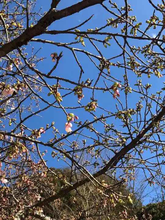 菅原神社(鹿児島県)