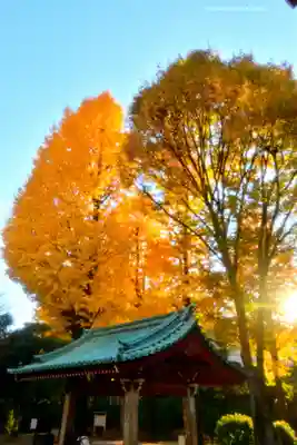 根津神社(東京都)