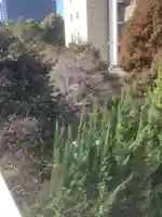 光蓮寺の本殿・本堂