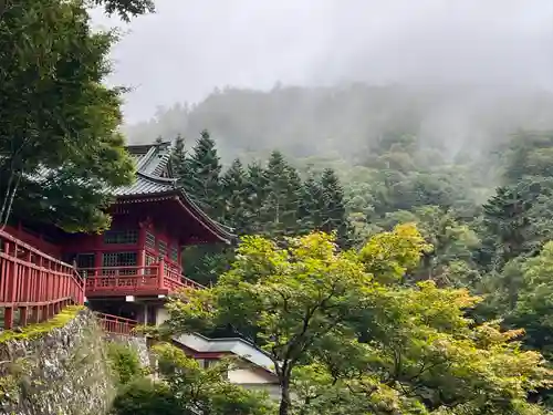 中禅寺(栃木県)