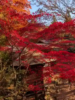 大山寺(神奈川県)