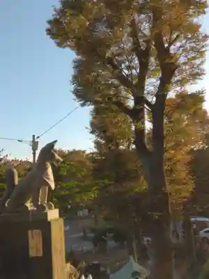 野島稲荷神社(神奈川県)
