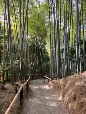 高台寺（高台寿聖禅寺・高臺寺）(京都府)